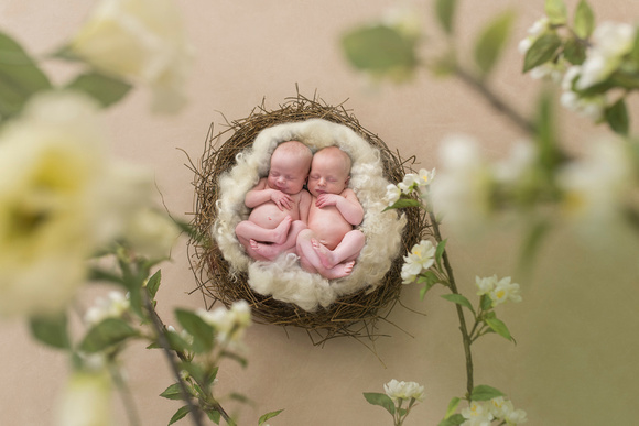 Newborn Baby twins by Victoria Sturdy | Cambridge Cambridgeshire | Newborn Photographer