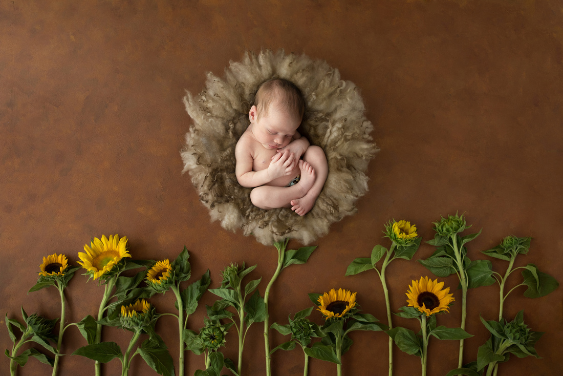 Newborn Photography by Victoria Sturdy | Cambridge Cambridgeshire | Newborn Photographer