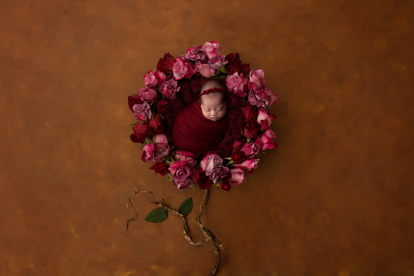 Newborn Photography by Victoria Sturdy | Cambridge Cambridgeshire | Newborn Photographer